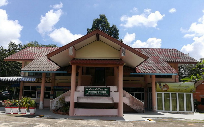 บ้านป่าบาก